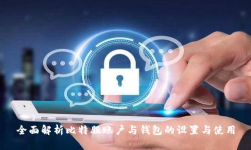 全面解析比特股账户与钱包的设置与使用