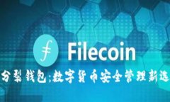 脑分裂钱包：数字货币安全管理新选择