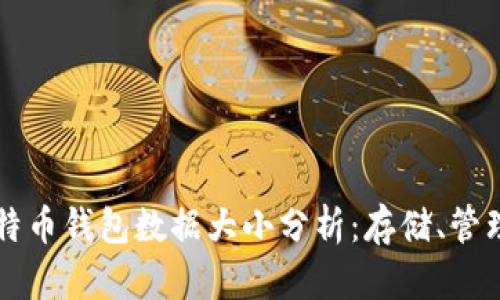 比特币钱包数据大小分析：存储、管理与