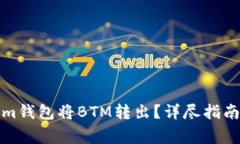 如何使用Tokenim钱包将BTM转出？详尽指南与常见问