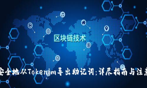 如何安全地从Tokenim导出助记词：详尽指南与注意事项