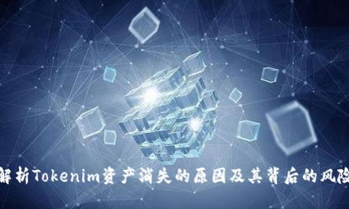 解析Tokenim资产消失的原因及其背后的风险