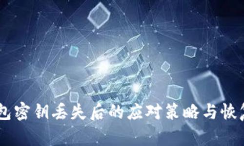 IM钱包密钥丢失后的应对策略与恢复方法