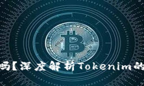 Tokenim是冷钱包吗？深度解析Tokenim的安全性与存储方式