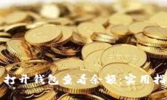 如何快速打开钱包查看余额：实用指南与技巧