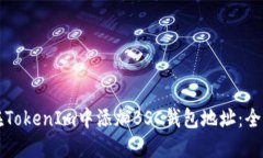 如何在TokenIm中添加BSC钱包地址：全面指南
