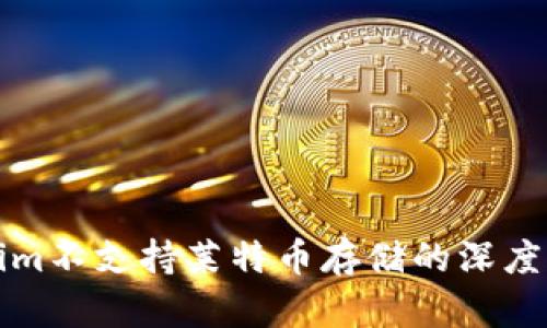 关于Tokenim不支持莱特币存储的深度解析与影响