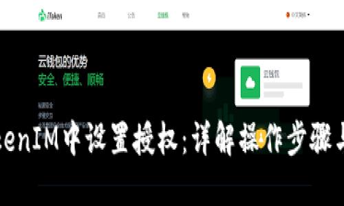 如何在TokenIM中设置授权：详解操作步骤与最佳实践