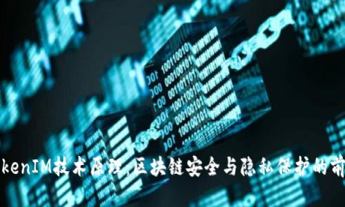 深入解析TokenIM技术原理：区块链安全与隐私保护的前沿解决方案