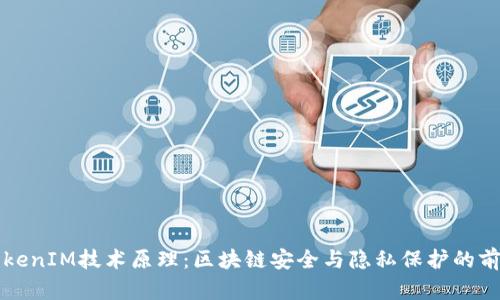 深入解析TokenIM技术原理：区块链安全与隐私保护的前沿解决方案
