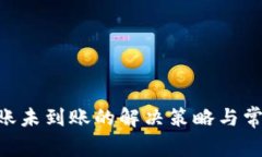 Tokenim转账未到账的解决策略与常见问题解答
