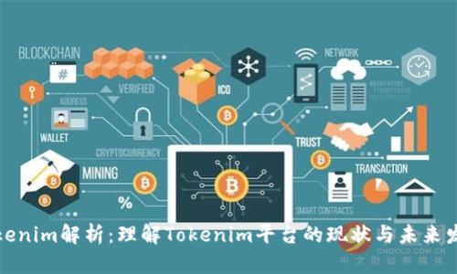 Tokenim解析：理解Tokenim平台的现状与未来发展