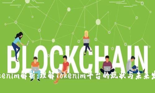 Tokenim解析：理解Tokenim平台的现状与未来发展
