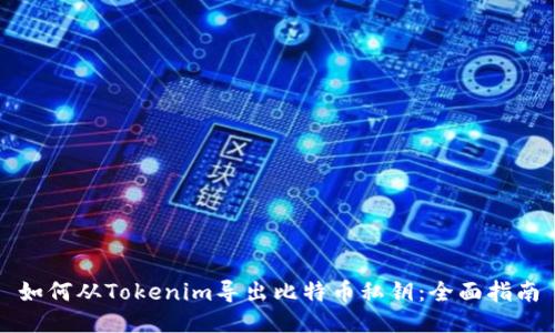 如何从Tokenim导出比特币私钥：全面指南