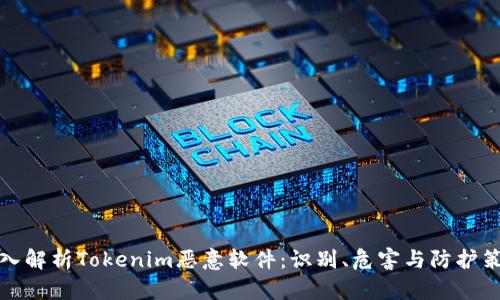 深入解析Tokenim恶意软件：识别、危害与防护策略