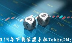如何在2019年下载苹果手机TokenIM：全面指南