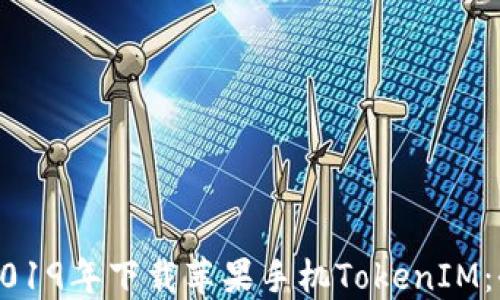 
如何在2019年下载苹果手机TokenIM：全面指南