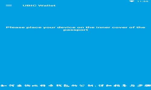 如何查询比特币钱包的公钥：详细指导与步骤