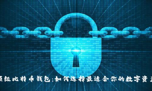 探索世界顶级比特币钱包：如何选择最适合你的数字资产管理工具