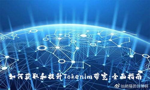 如何获取和提升Tokenim带宽：全面指南