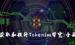 如何获取和提升Tokenim带宽：全面指南