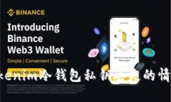 如何处理Tokenim冷钱包私钥丢失的情况：全面指南