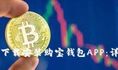 如何在苹果手机上下载安装购宝钱包APP：详细步