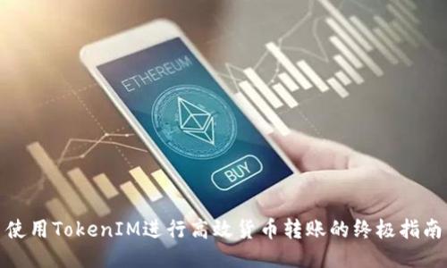 使用TokenIM进行高效货币转账的终极指南