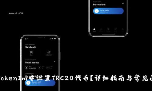 如何在TokenIm中设置TRC20代币？详细指南与常见问题解答