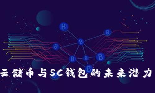  全面解析云储币与SC钱包的未来潜力与使用指南