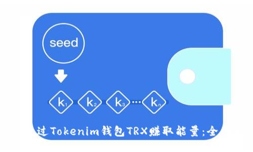 如何通过Tokenim钱包TRX赚取能量：全面指南