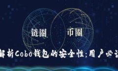 深入解析Cobo钱包的安全性：用户必读指南