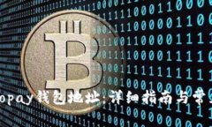 如何找到Topay钱包地址：详细指南与常见问题解答