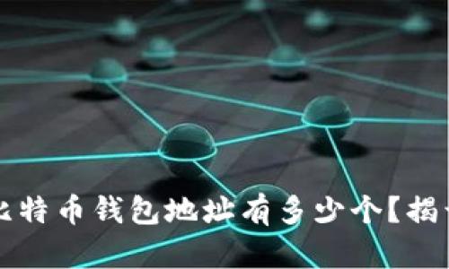 中本聪的比特币钱包地址有多少个？揭开神秘面纱