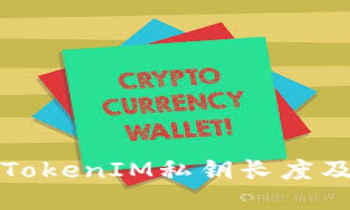 深入探讨TokenIM私钥长度及其安全性