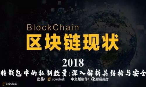 比特钱包中的私钥数量：深入解析其结构与安全性