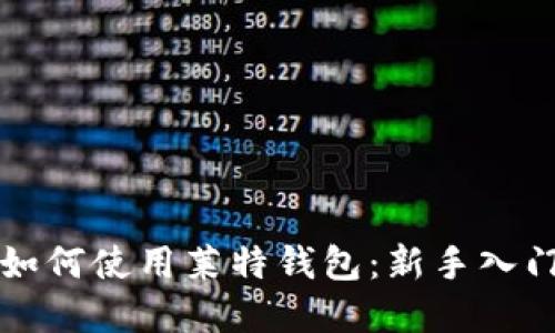 详解如何使用莱特钱包：新手入门指南