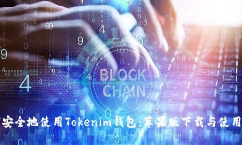 如何安全地使用Tokenim钱包：苹果版下载与使用指南