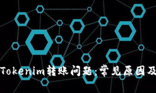 如何解决Tokenim转账问题：常见原因及解决方案