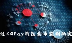 如何通过CGPay钱包卖币获利的完整指南