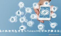 如何在小狐狸钱包中导入TokenIM？详细步骤与注意