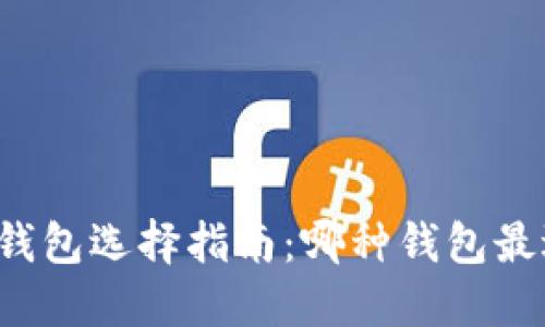 比特币钱包选择指南：哪种钱包最适合你？