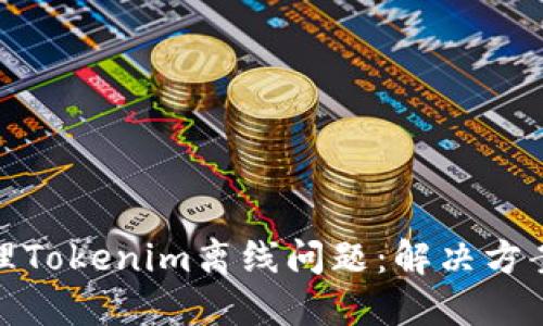 如何处理Tokenim离线问题：解决方案与建议
