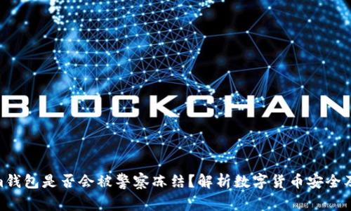 : Tokenim钱包是否会被警察冻结？解析数字货币安全及法律风险