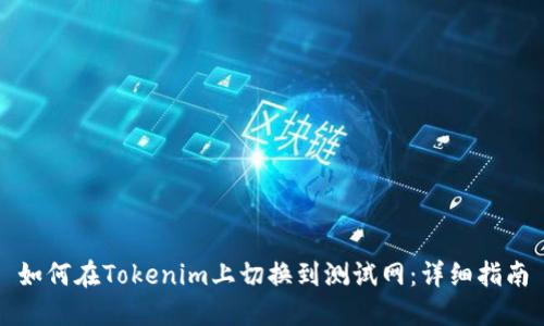 如何在Tokenim上切换到测试网：详细指南