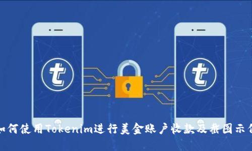 如何使用Tokenim进行美金账户收款及截图示例
