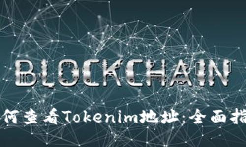 如何查看Tokenim地址：全面指南