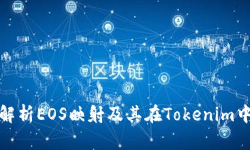: 深入解析EOS映射及其在Tokenim中的应用