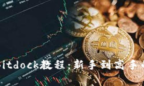 全面解析Bitdock教程：新手到高手的完整指南