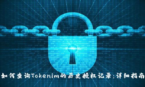 如何查询Tokenim的历史授权记录：详细指南